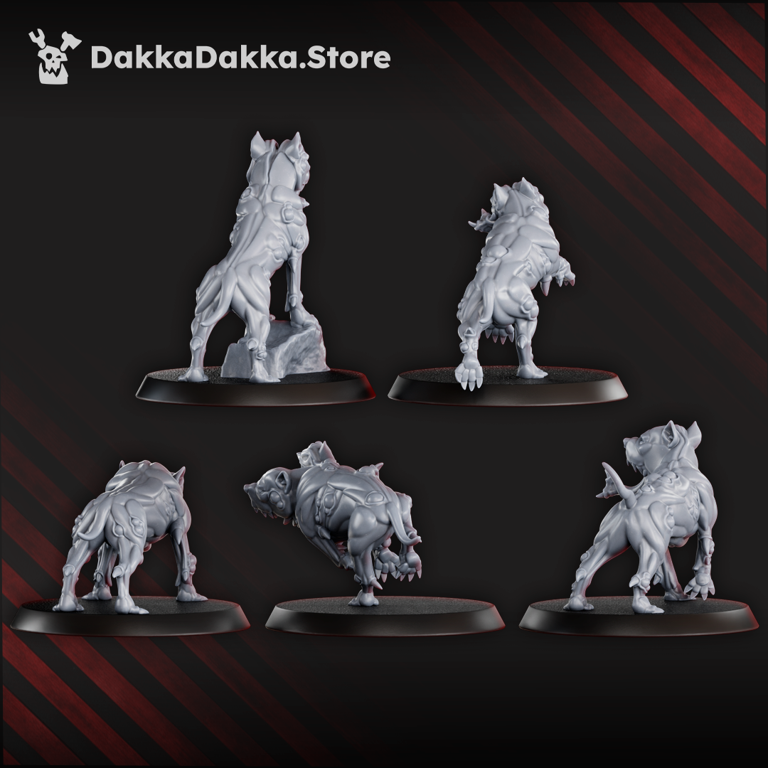 Sporeterrier Pack (x5)
