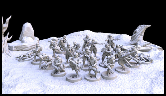 Heavy Clone Trooper (x20)